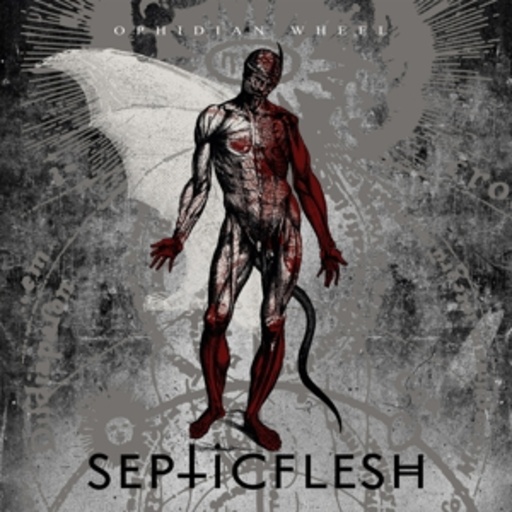 Schizofrantik – The Knight On The Shark