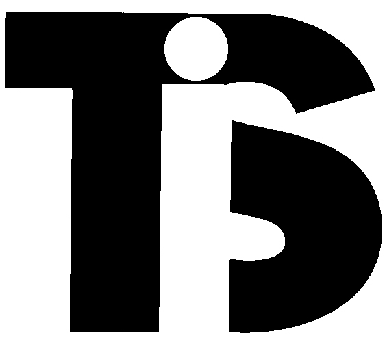 TIS – Talent Independent Service