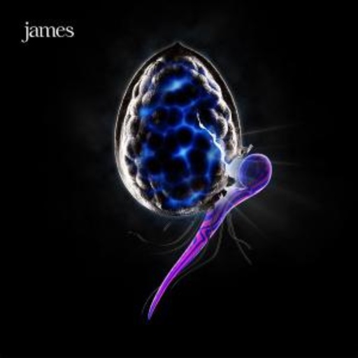 James – The Night Before