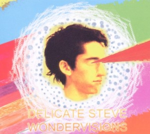 Delicate Steve – Wondervisions