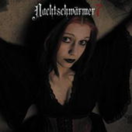 Diverse – Nachtschwärmer VII