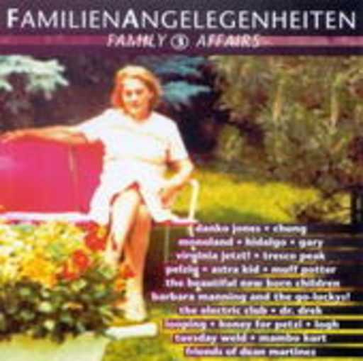 Diverse – Familienangelegenheiten III