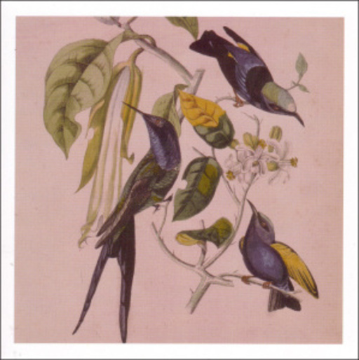 Susumu Yokota – Sakura