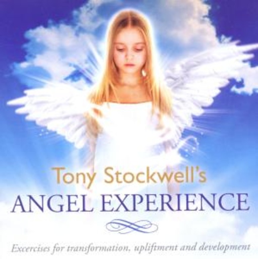 Tony Stockwell – Angel Experience