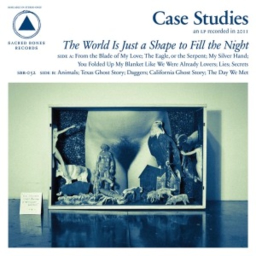 Case Studies – The World Is Just A Shape To Fill The Night