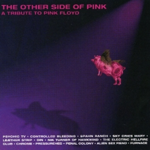 Diverse – Other Side Of Pink