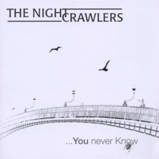 The Nightcrawlers – You Never Know