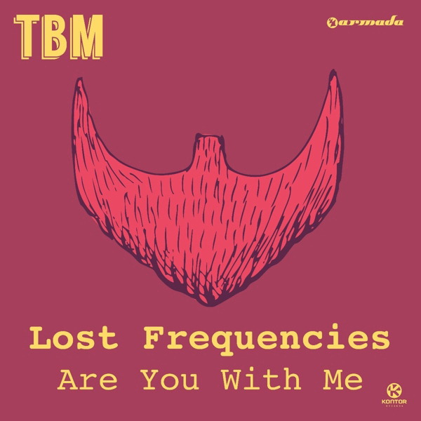 Lost Frequencies – Are You With Me