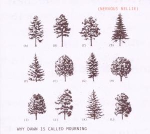 Nervous Nellie – Why Dawn Is Called Mourning