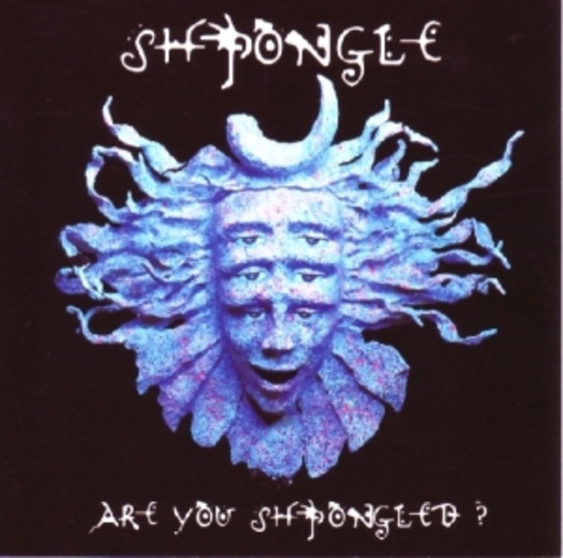 Shpongle – Are You Shpongled?