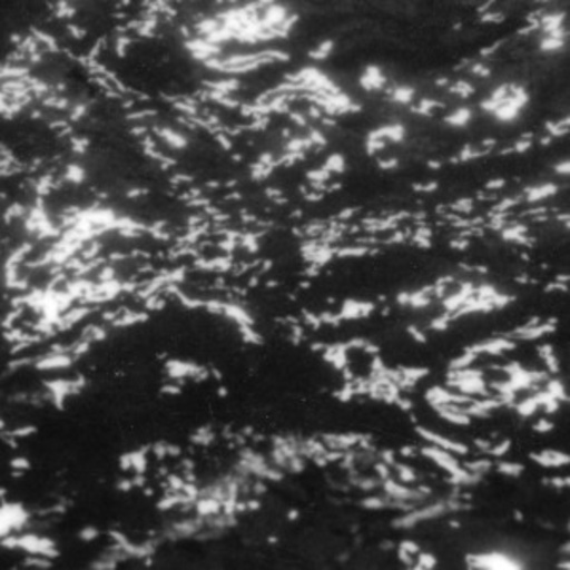 Grouper – A/A