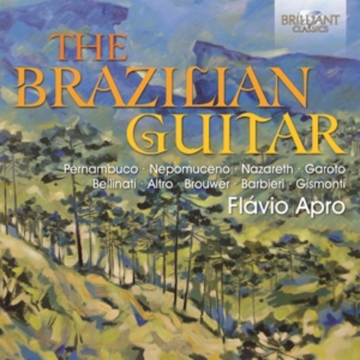The Brazilian Guitar