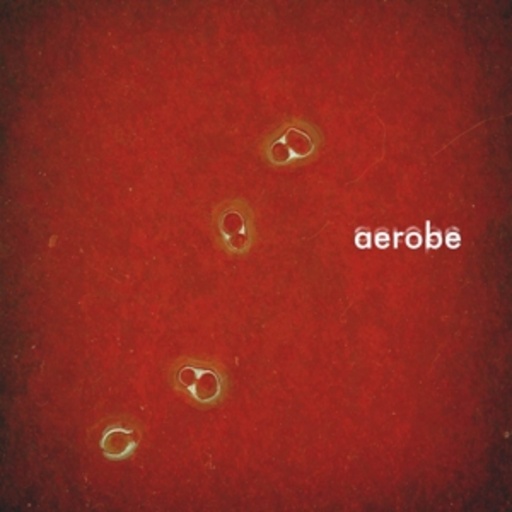 Aerobe – Aerobe