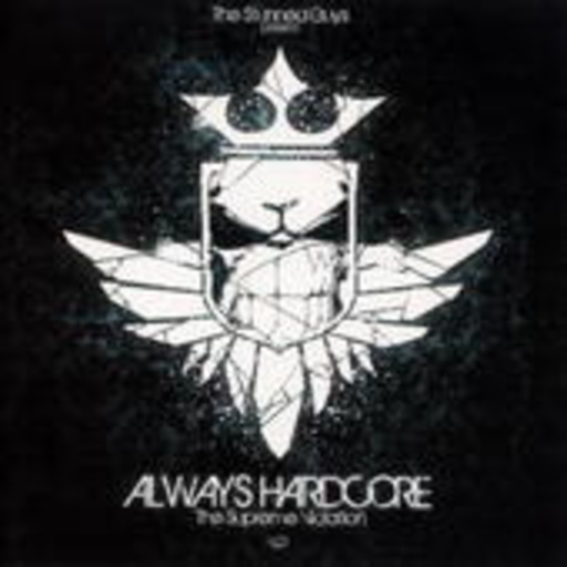 Always Hardcore Vol. 21