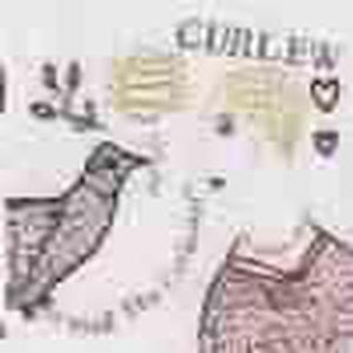 Curlew – Meet The Curlews