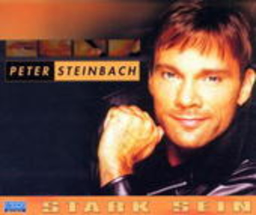 Peter Steinbach – Stark sein