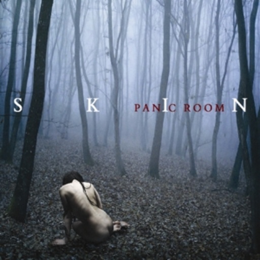 Panic Room – Skin