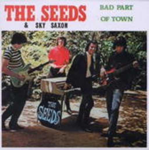 The Seeds – Bad Part Of Town