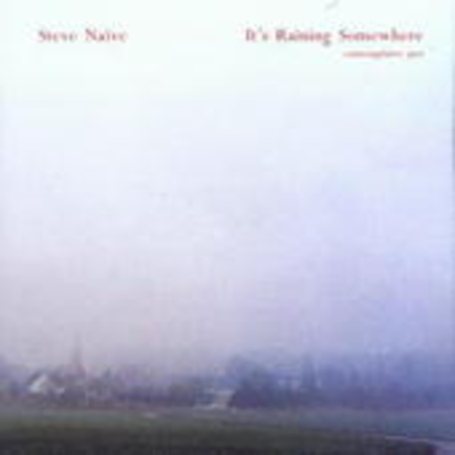 Steve Naive – It's Raining Somewhere