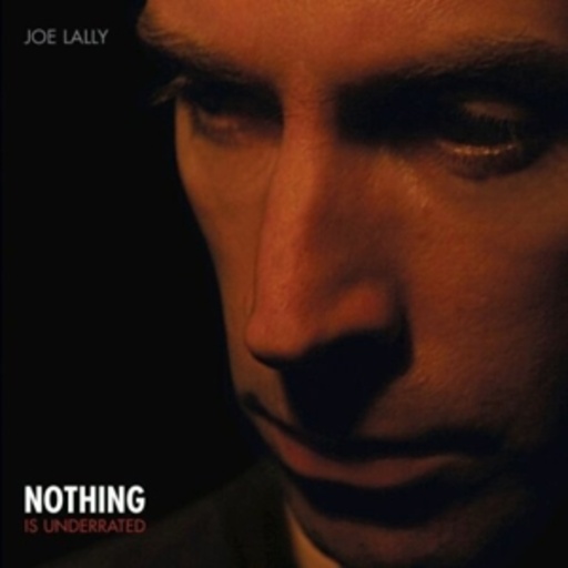 Joe Lally – Nothing Is Underrated