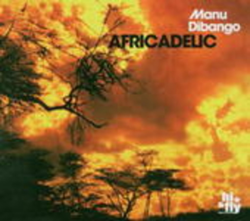 Manu Dibango – Africadelic