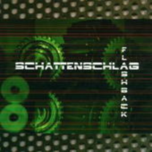 Schattenschlag – Flashback