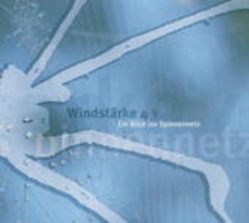 Ein Blick ins Spinnennetz