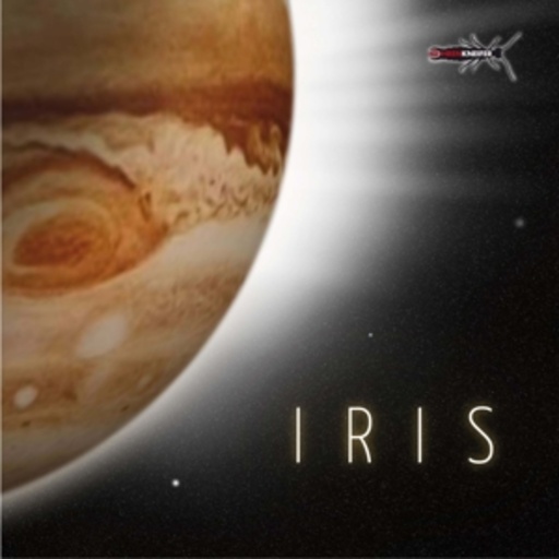 Ohrenkneifer – Iris