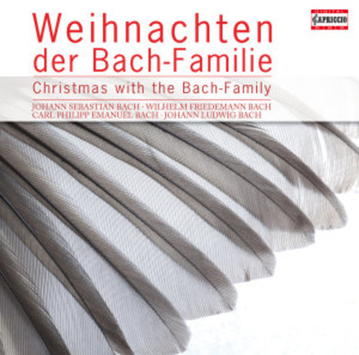 Weihnachten der Bach Familie