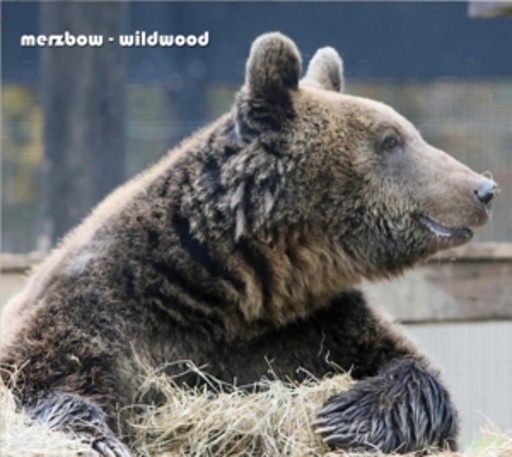 Merzbow – Wildwood