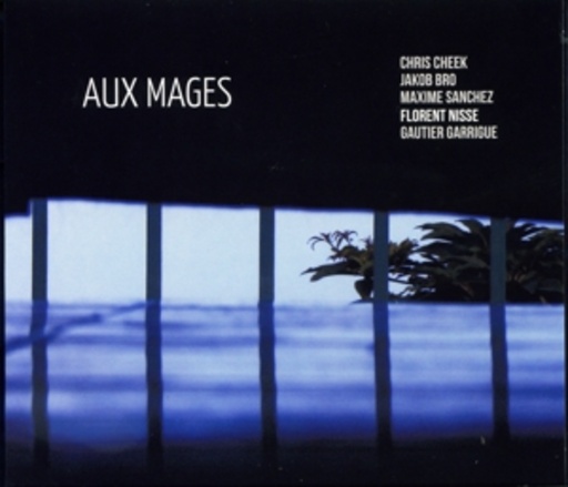 Florent Nisse – Aux Mages