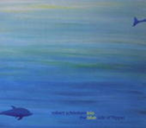 Robert Schönherr Trio – The Blue Side Of Flipper