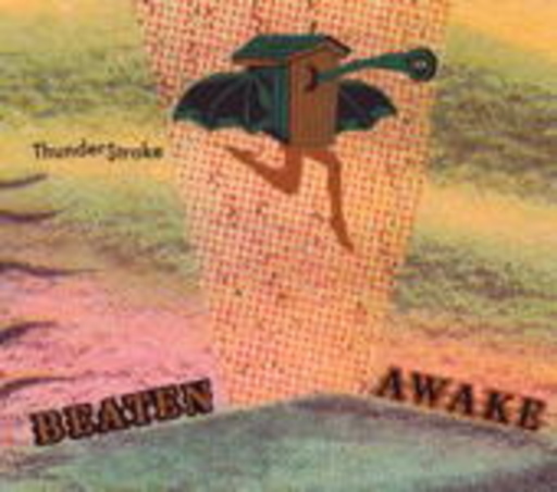 Beaten Awake – ThunderStroke