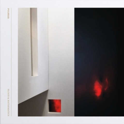 Pulshar – Blood And Mathematics