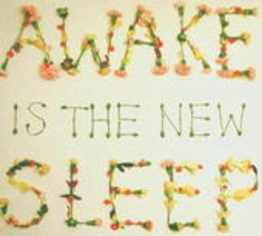 Ben Lee – Awake Is The New Sleep