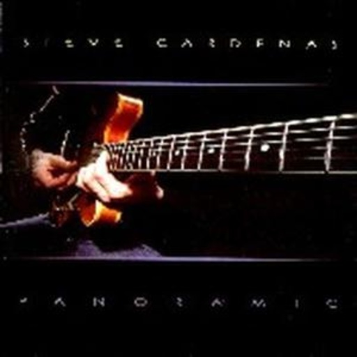 Steve Cardenas – Panoramic