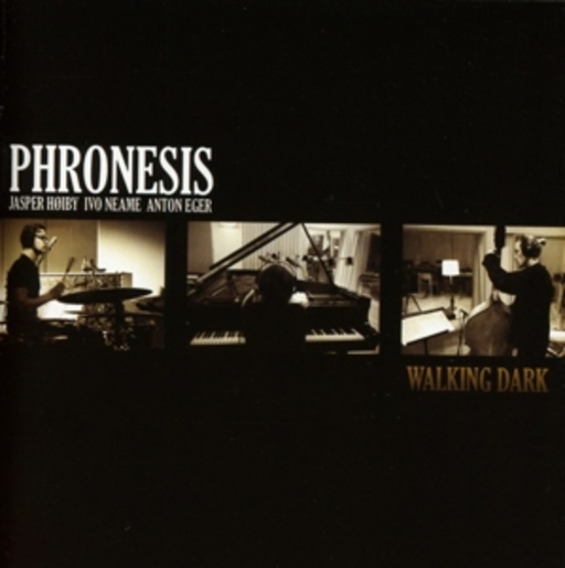 Phronesis – Walking Dark