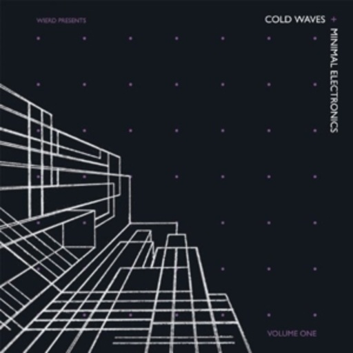 Diverse – Cold Waves & Minimal Electronics Volume 1