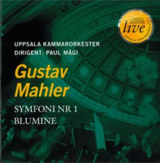 Paul Mägi/Uppsala Kammarorkester – Symfoni Nr. 1