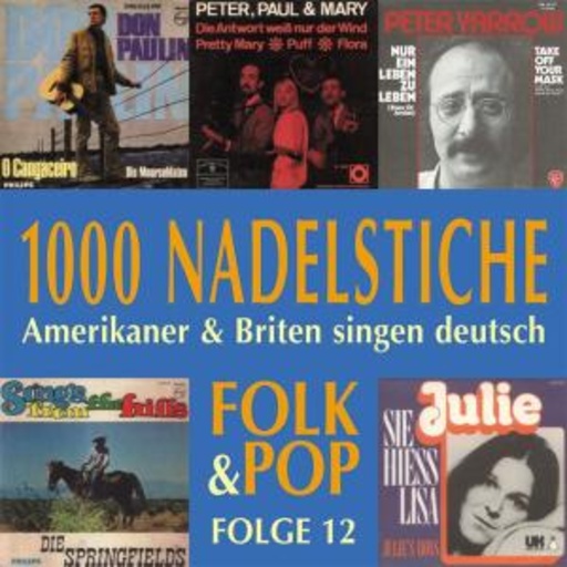 Diverse – 1000 Nadelstiche - Amerikaner & Briten singen deutsch Vol. 12: Folk & Pop