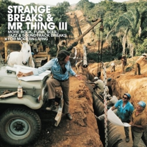 Diverse – Strange Breaks & Mr Thing III