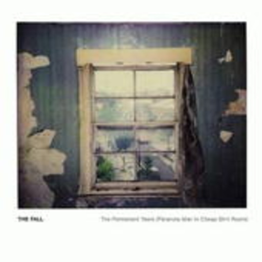 The Fall – The Permanent Years