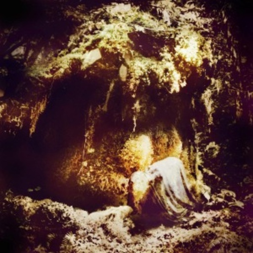 Wolves In The Throne Room – Celestial Lineage