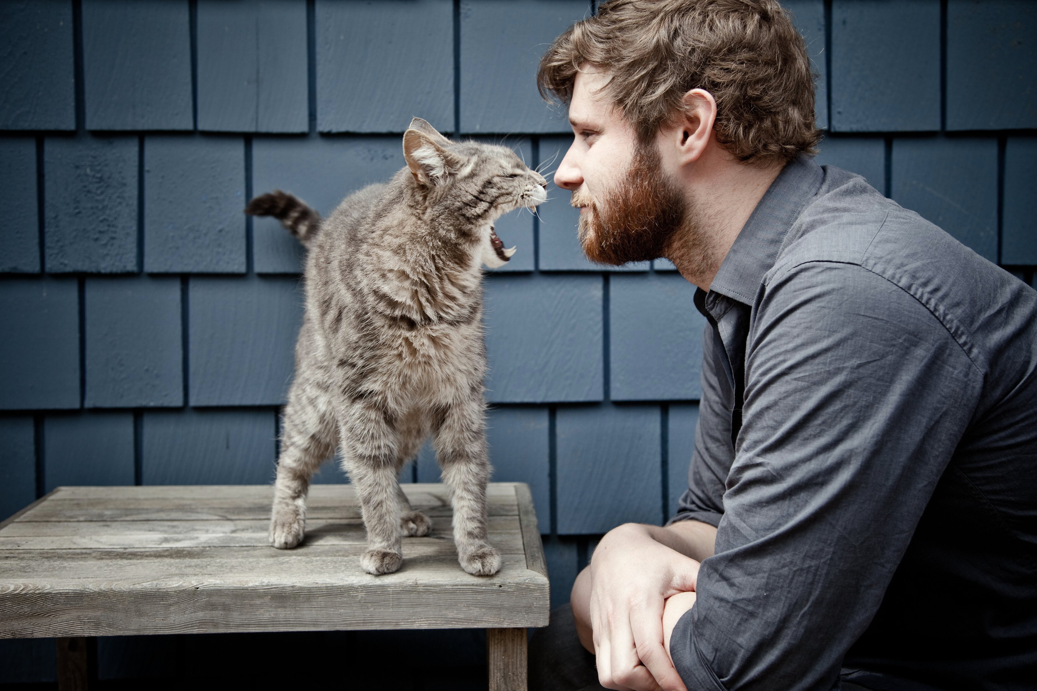 Dan Mangan