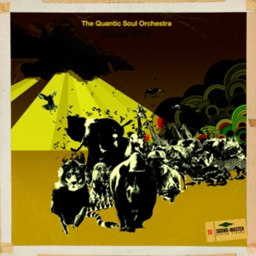 Quantic Soul Orchestra – Stampede