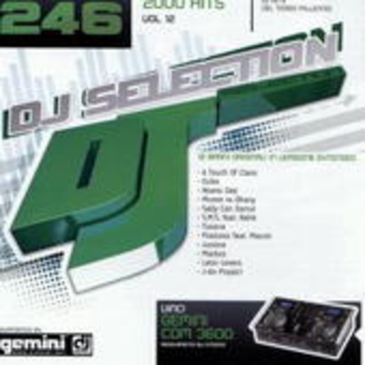 Diverse – DJ Selection - 2000 Hits Vol. 12