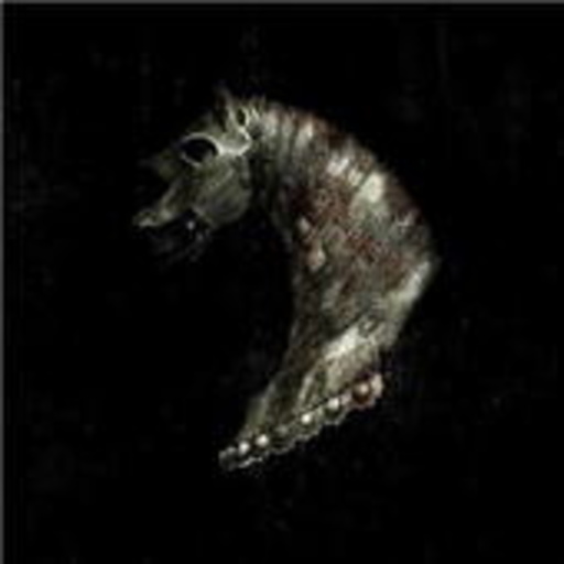 Black Math Horseman – Wylt