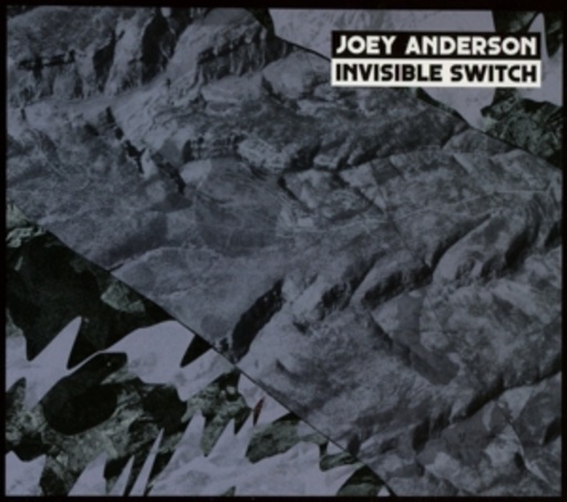 Joey Anderson – Invisible Switch