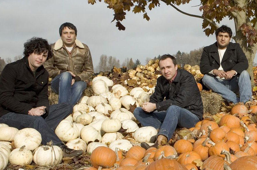 The Shins