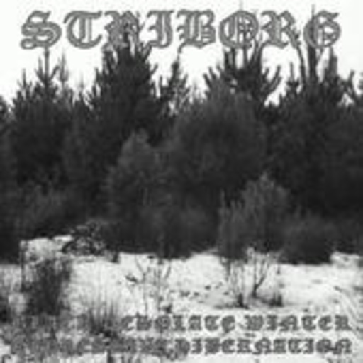 Striborg – Black Desolate Winter